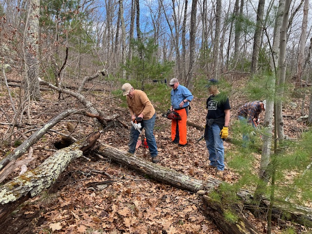 Chainsawing at Slate Woods