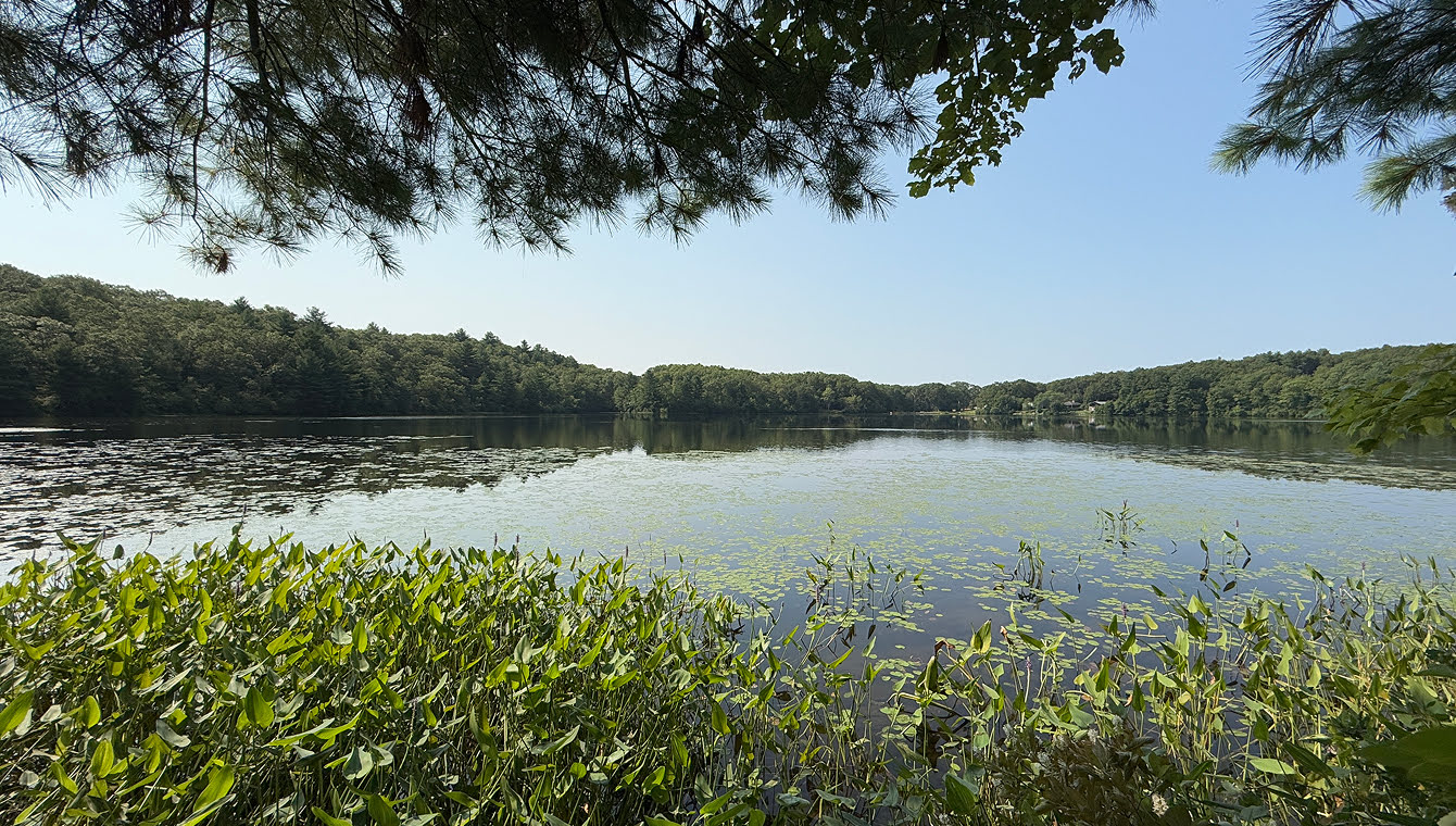 Slater Woods