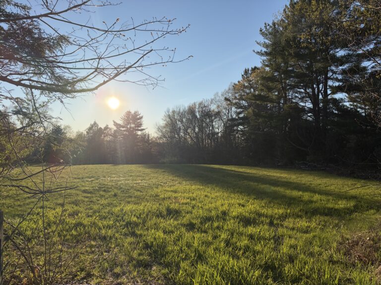 Field with sunset