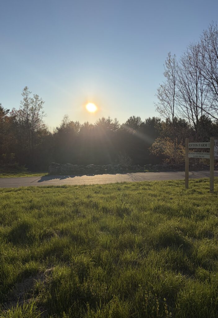 Dudley Conservation Land Trust Announces Fall Events: Mushroom Foraging, Annual Member Meeting, and Antos Farm Celebration